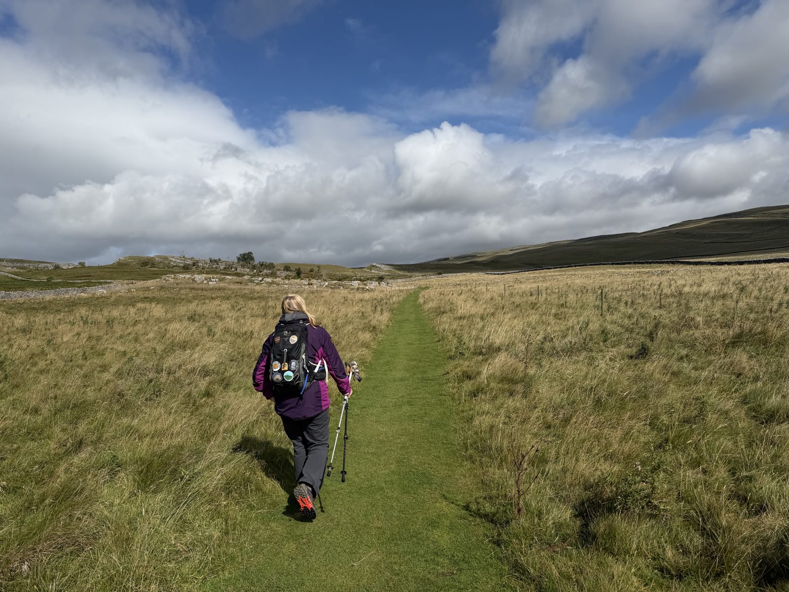 A walker with poles on a green track through rough moor grass under a big cloudy sky