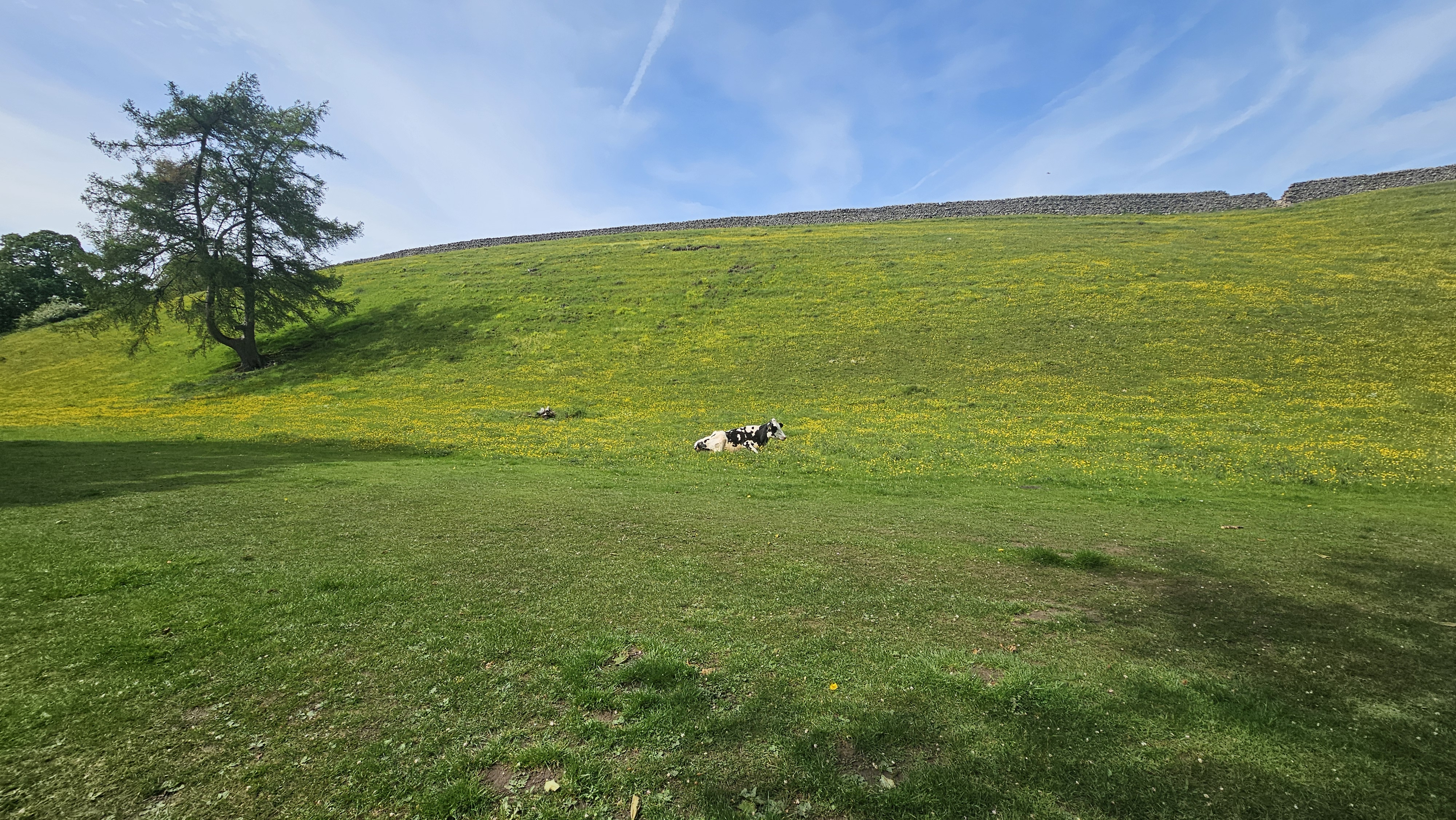 Dales Way: Bolton Abbey to Grassington