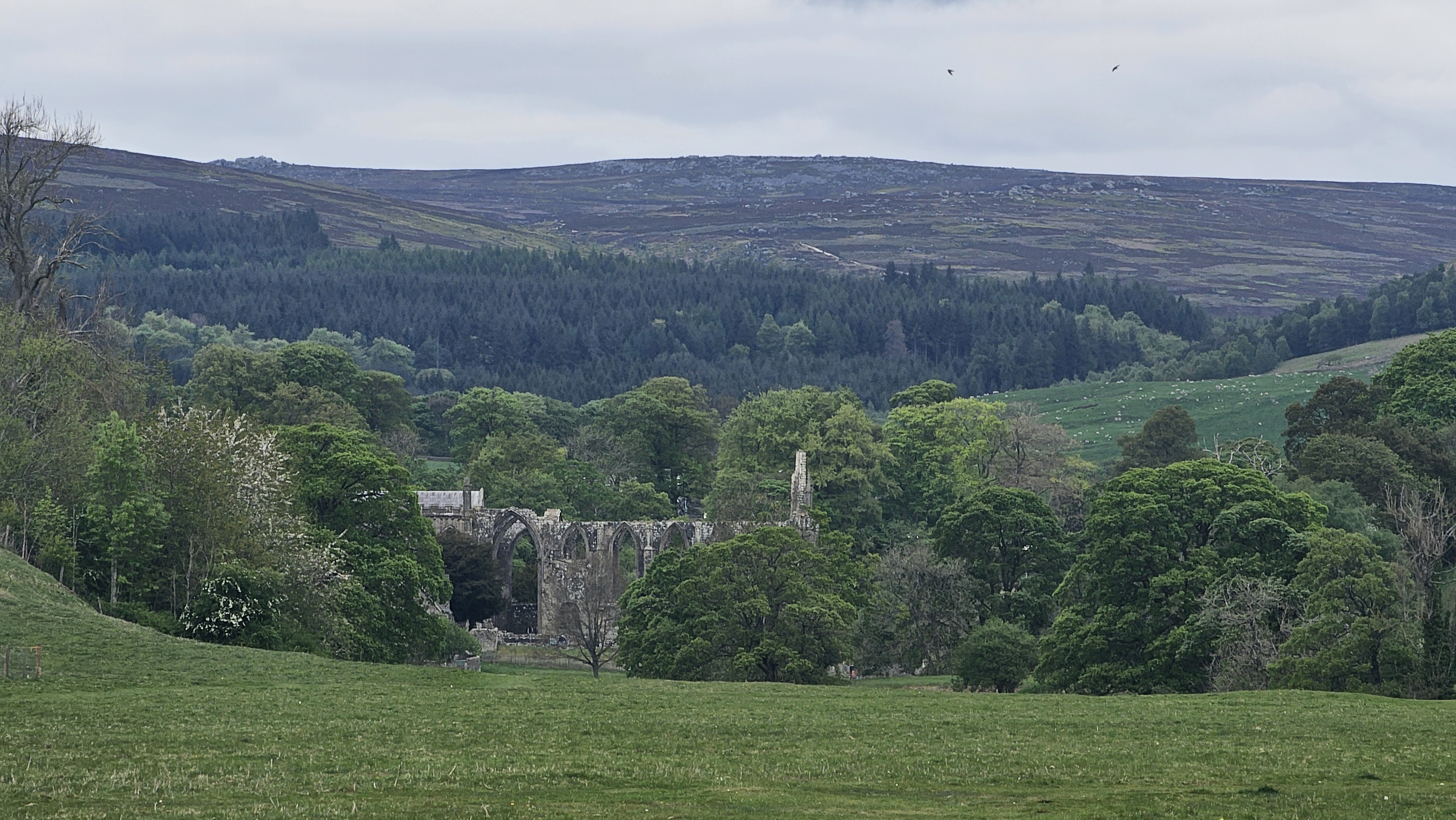 Dales Way: Ilkley to Bolton Abbey
