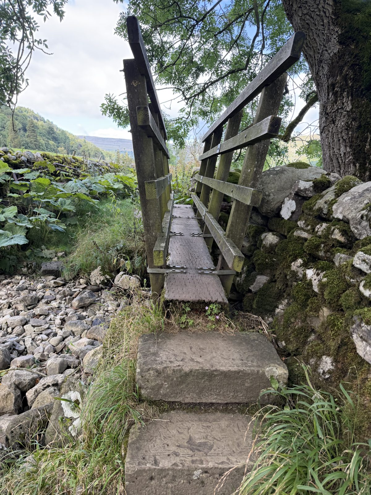 Stone steps and a stile in a drystone wall
