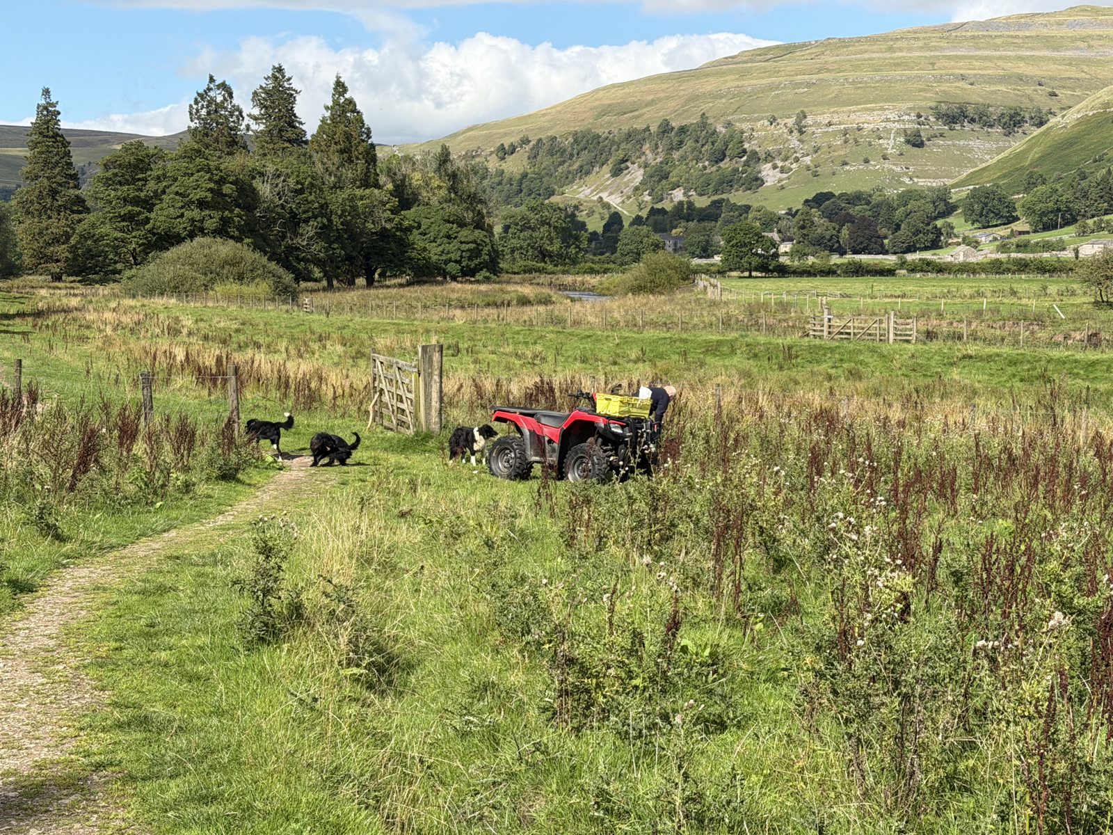 A farmer's quad bike and dogs in a field in upper Wharfedale